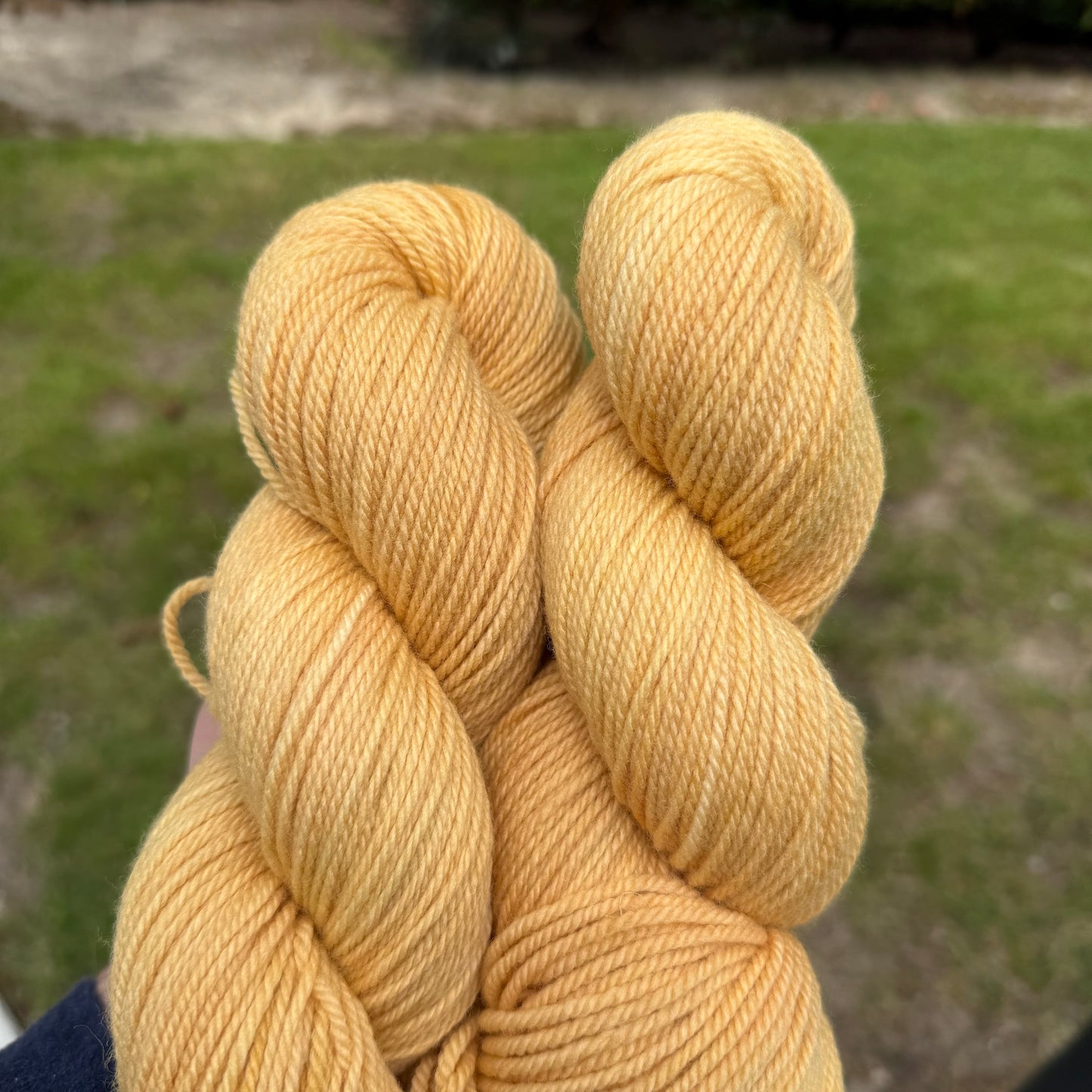 Goldie Hawn Yarn - Targhee Worsted