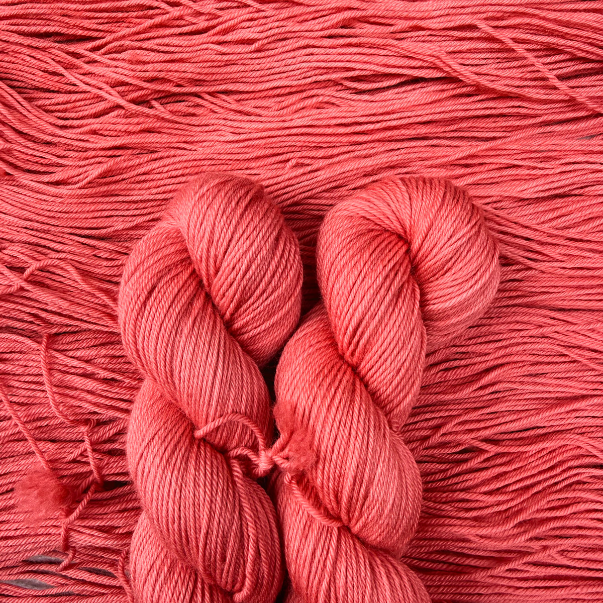 Pink Oyster (BFL DK)