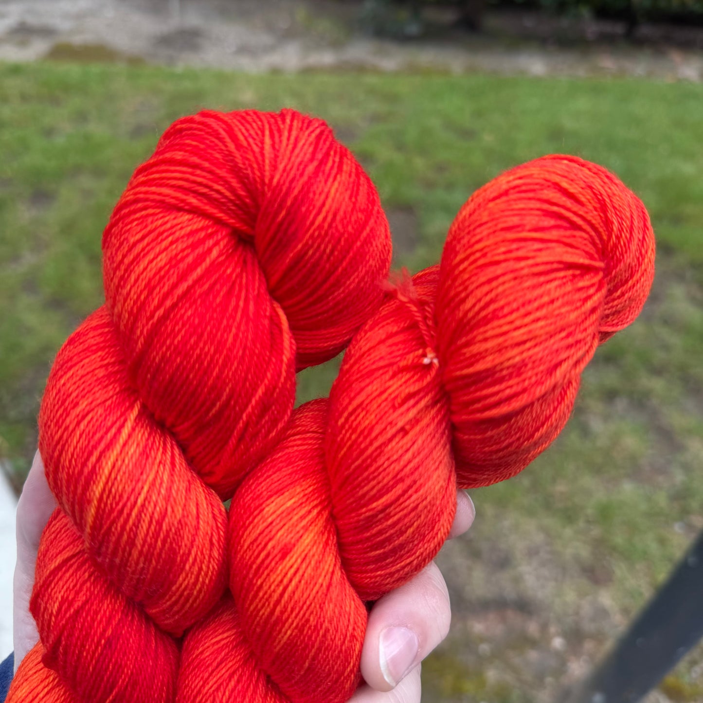 The Adventures Of The Electric Tomato