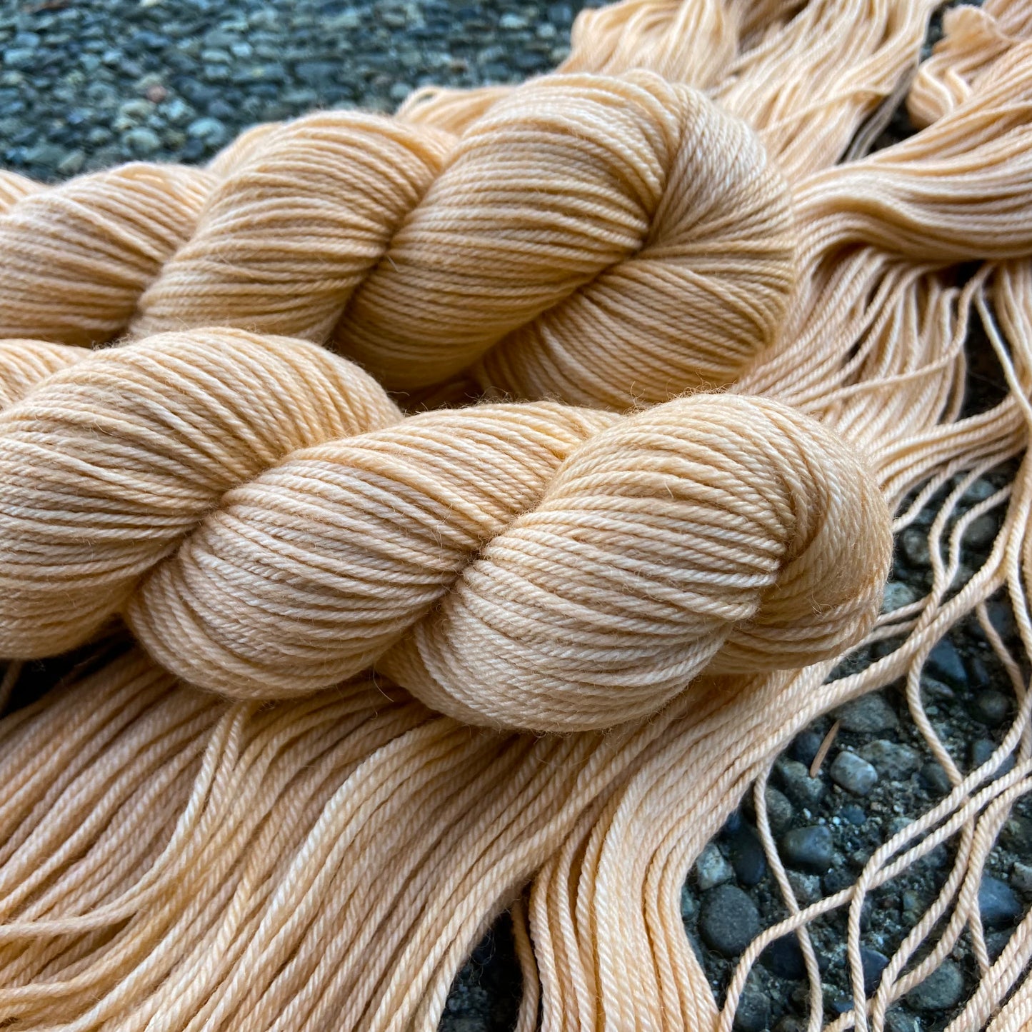 Creamsicle (BFL DK)