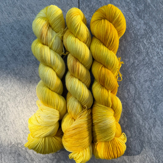 Yellow Fade Set