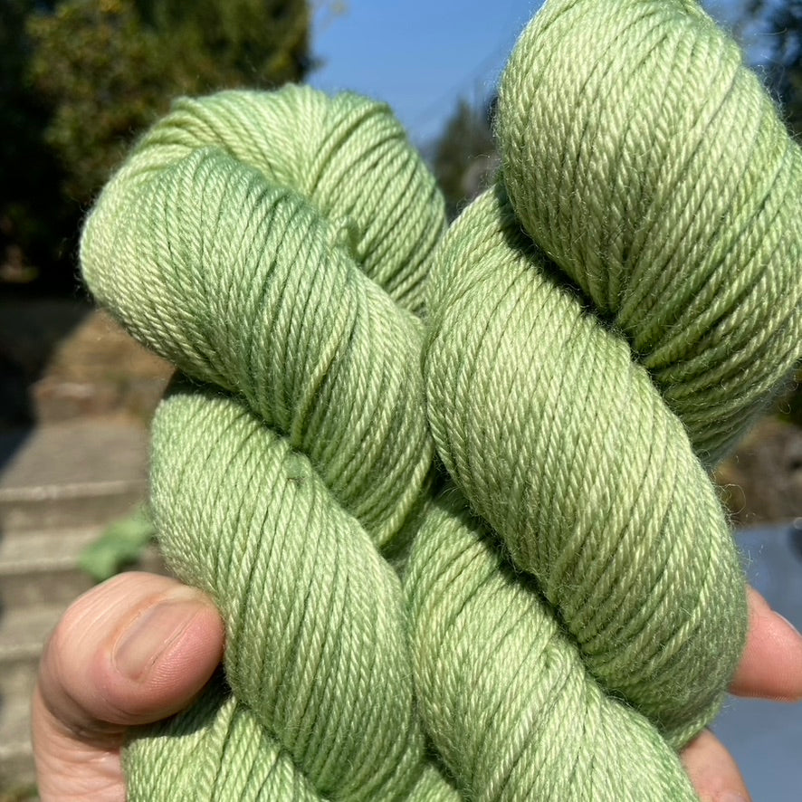 What and ham? (BFL DK)