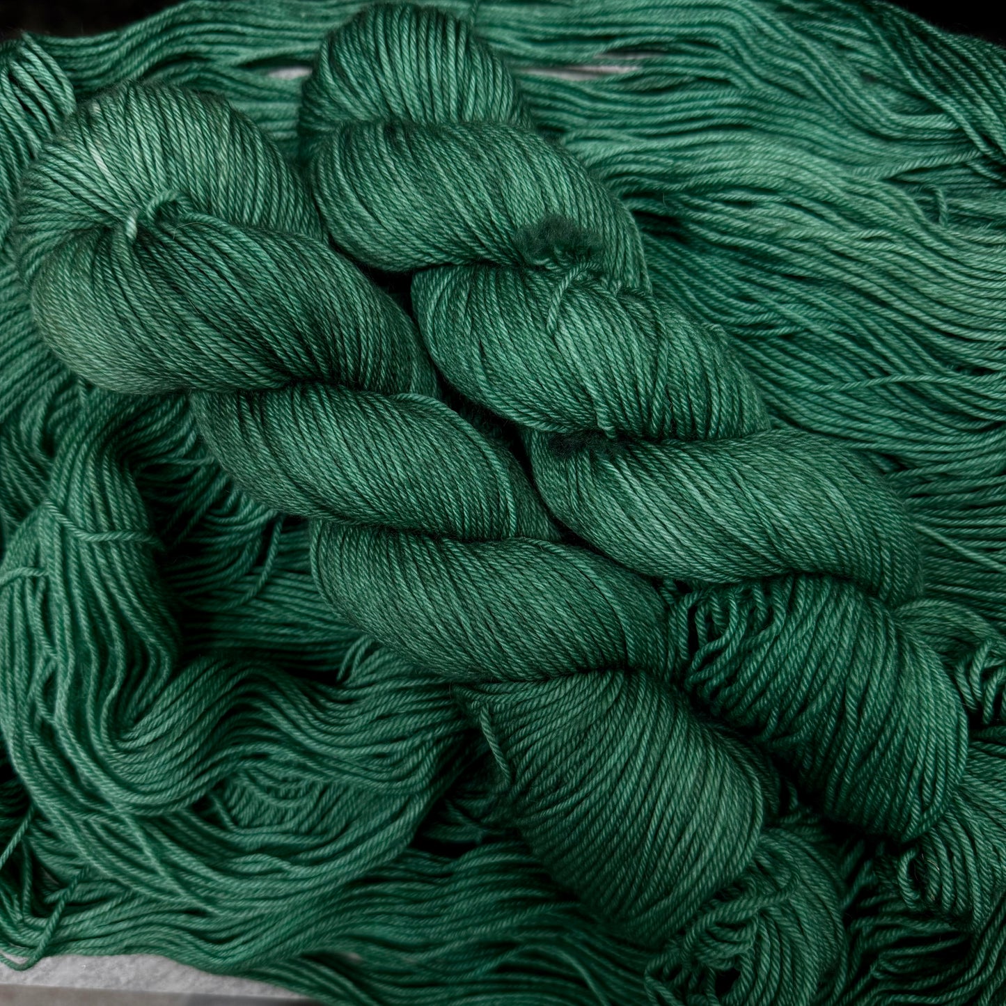 Race Through The Forest (DK BFL)