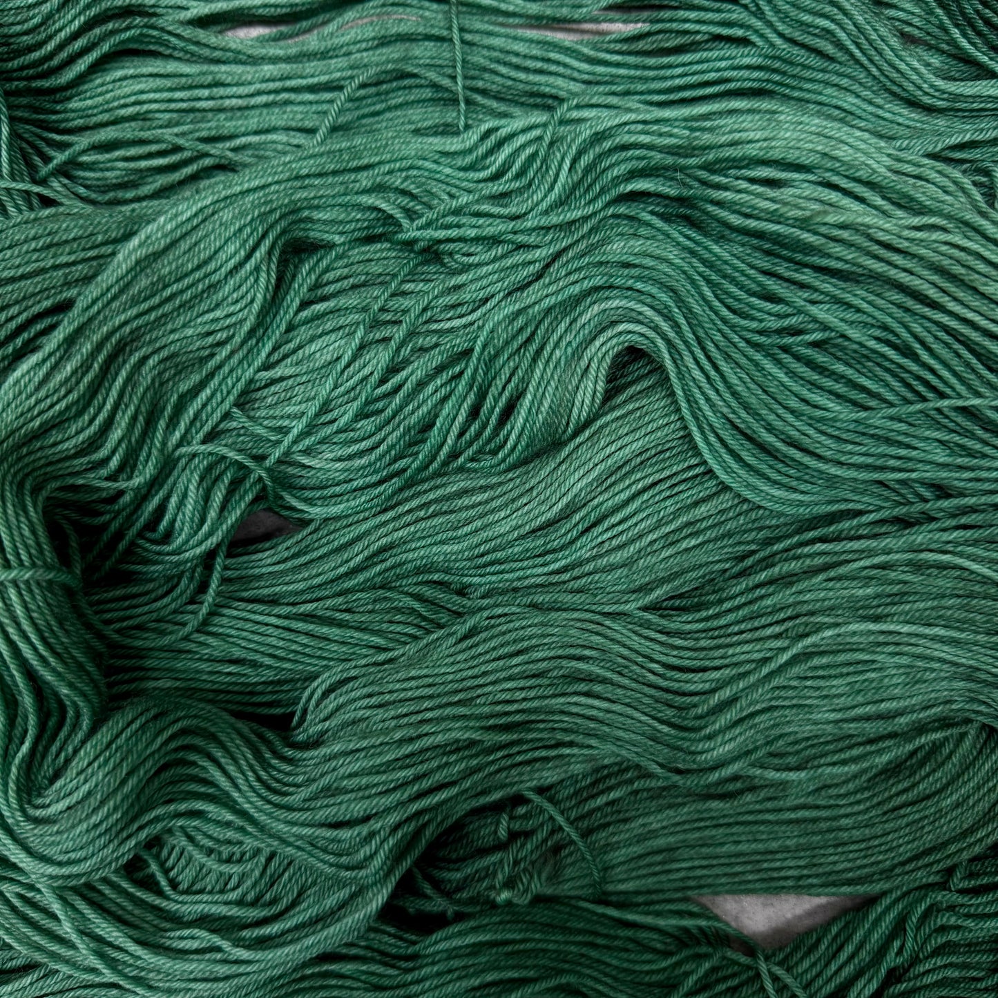 Race Through The Forest (DK BFL)