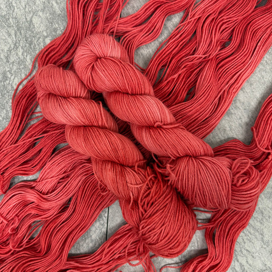 Pink Oyster (BFL DK)