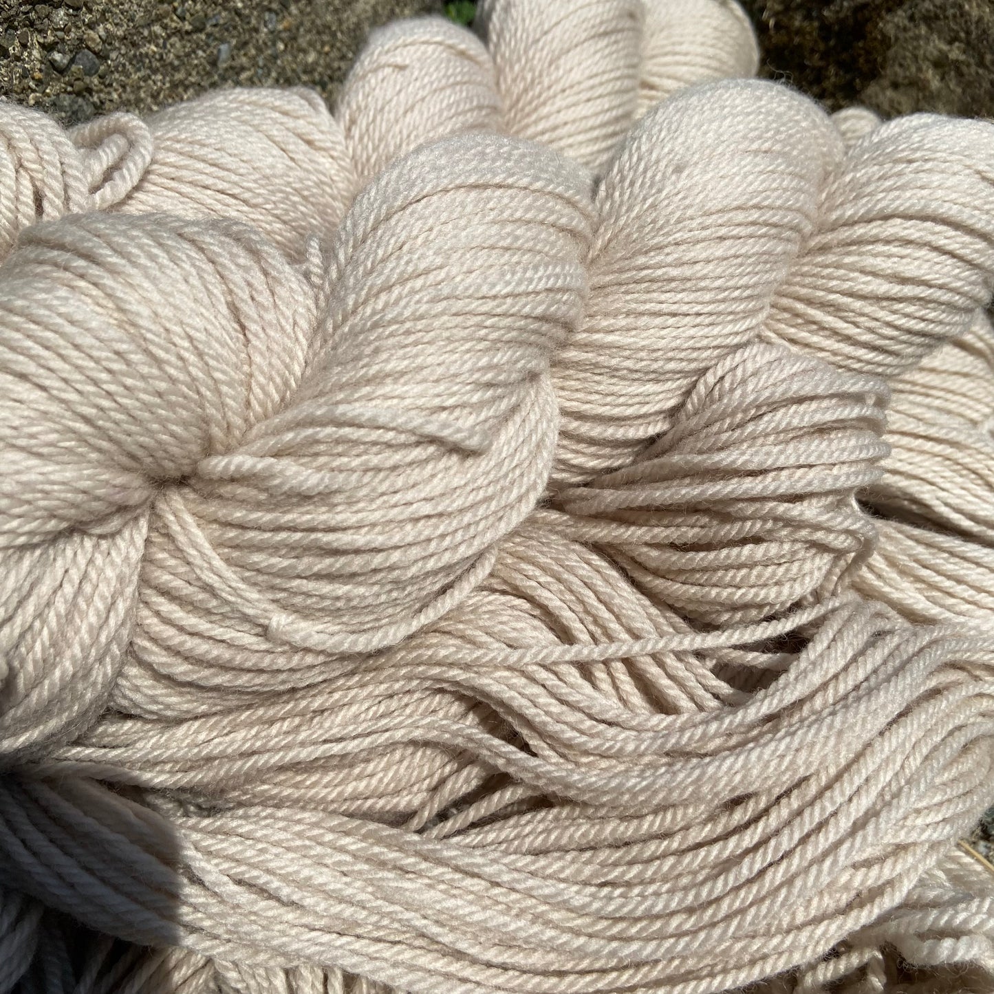 Dirty Bone - Targhee Worsted