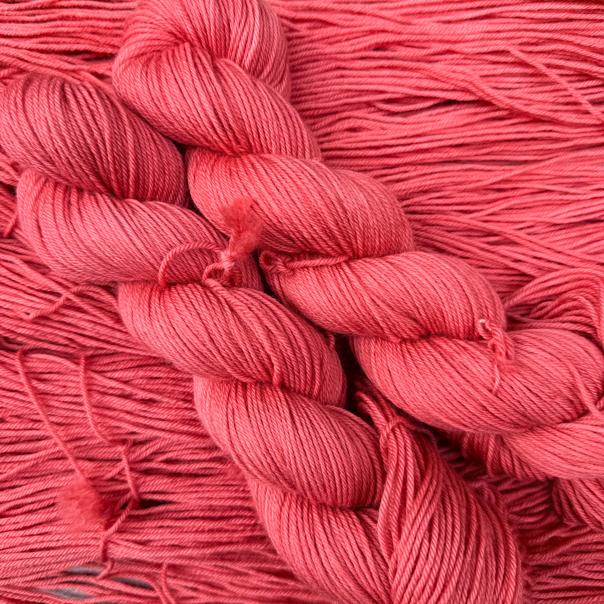 Pink Oyster (BFL DK)