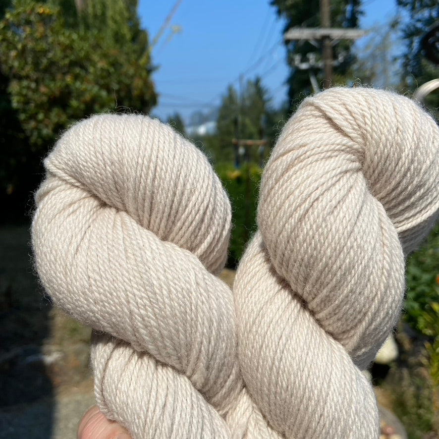 Dirty Bone - Targhee Worsted