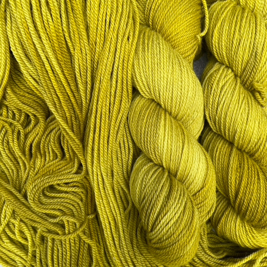 Golden Kelp - Targhee Worsted