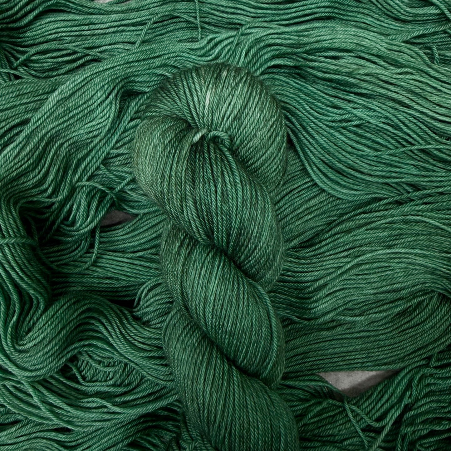 Race Through The Forest (DK BFL)