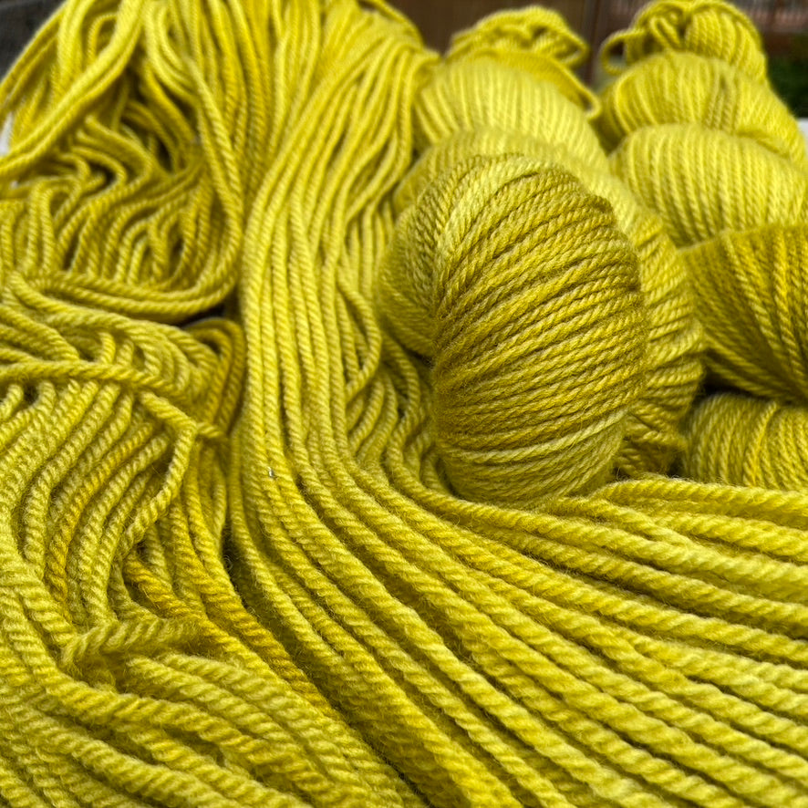 Golden Kelp - Targhee Worsted