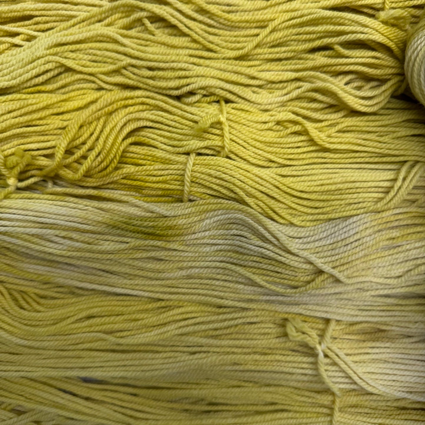 You Saw How Pretty It Is, Right? - Targhee Worsted (Copy)