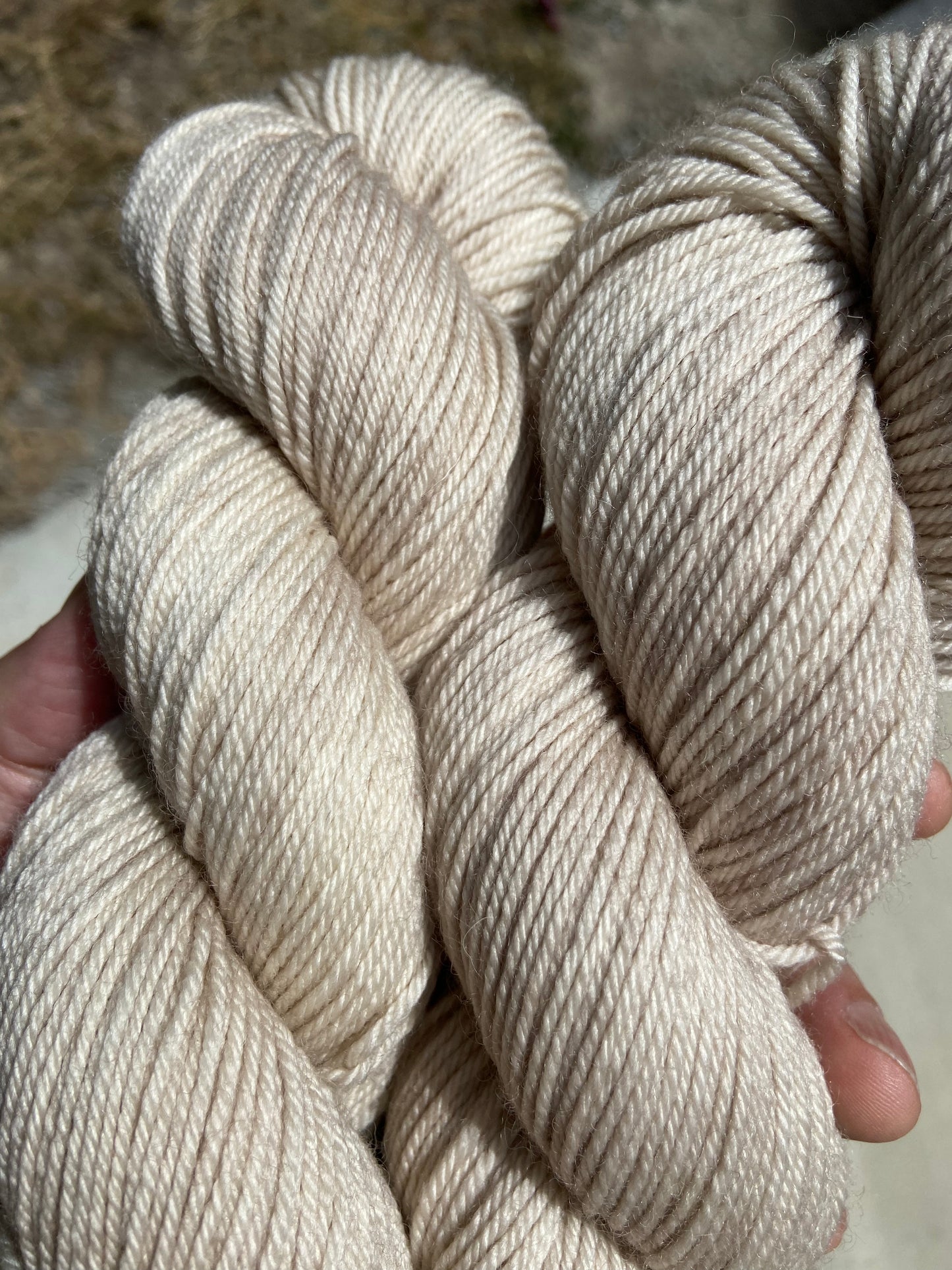 London Fog (BFL DK)