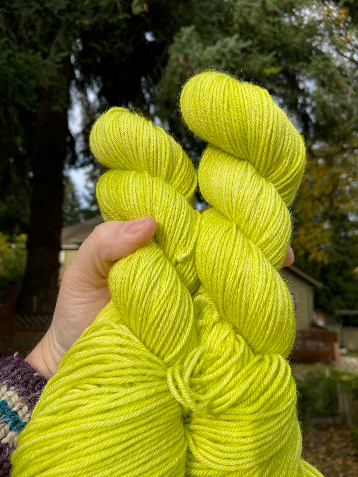 Can We Paint The Door? (BFL DK)