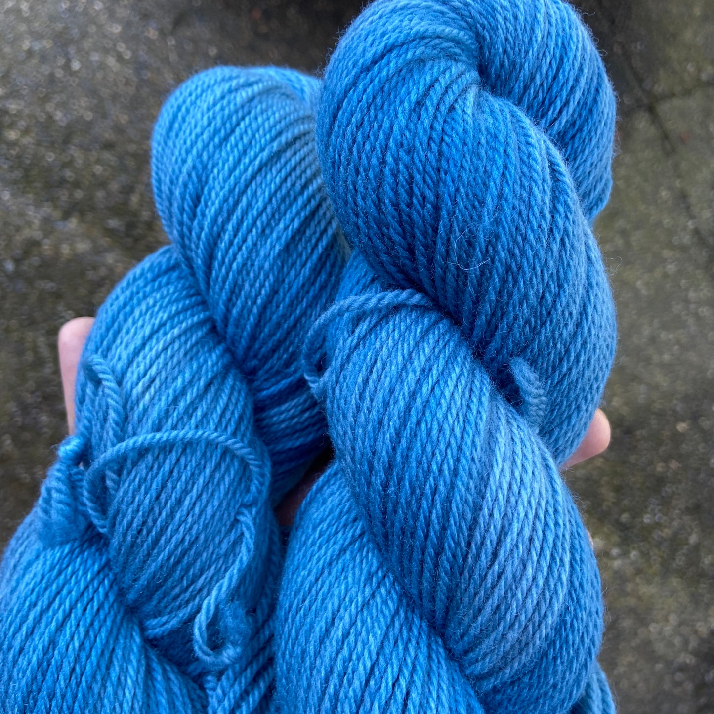 Life Aquatic - Targhee Worsted