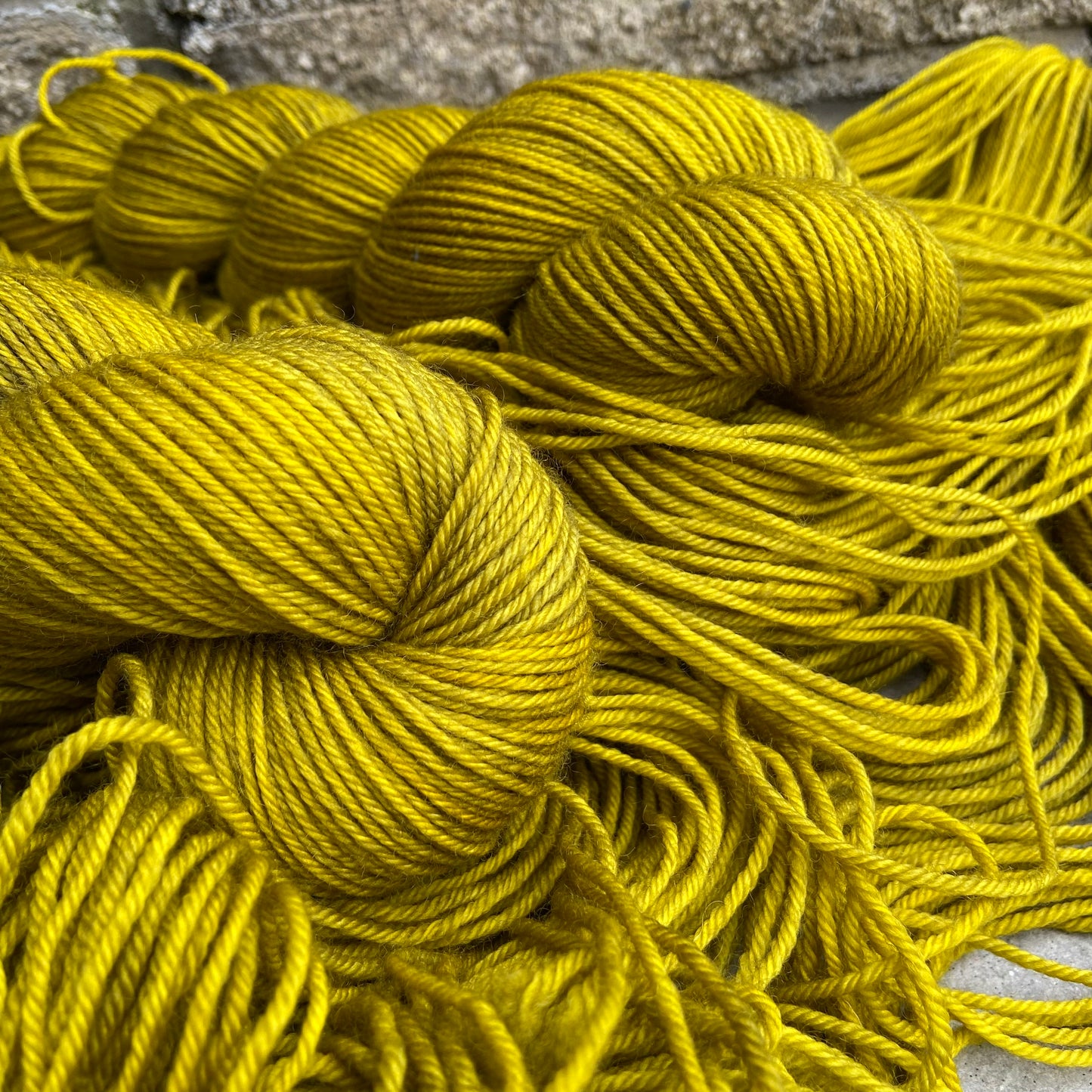 Golden Kelp (BFL DK)