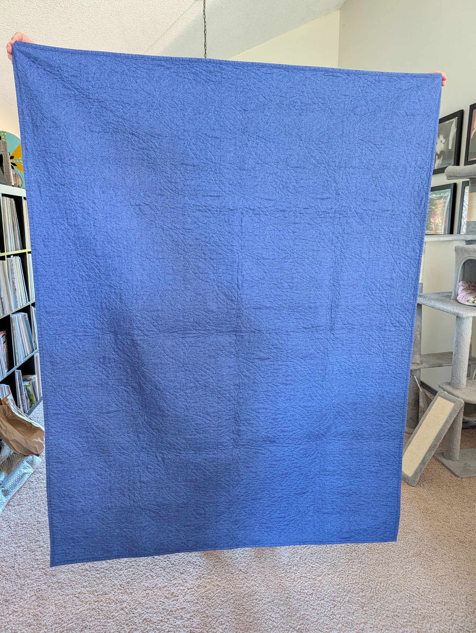 Mini Plaidish quilt back — Ocean Scrappy colorway, solid cobalt blue backing